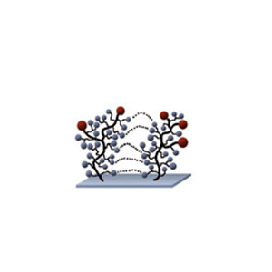 20150424_174447_polyan_microarray