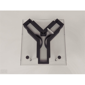 ant_y_maze_01__00004_1506003345