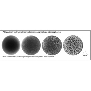 csm_3d-carboxy_beads_rem-images_01_84ab5946f4