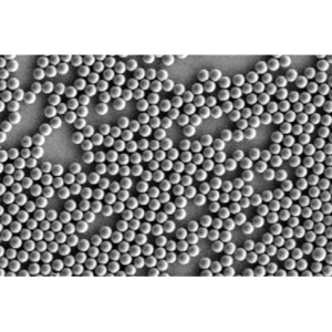 csm_counting_beads_f8711b3df2_1140175649