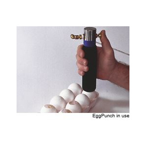 egg_punch