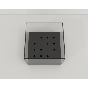 olfactory_hole-board_01_2