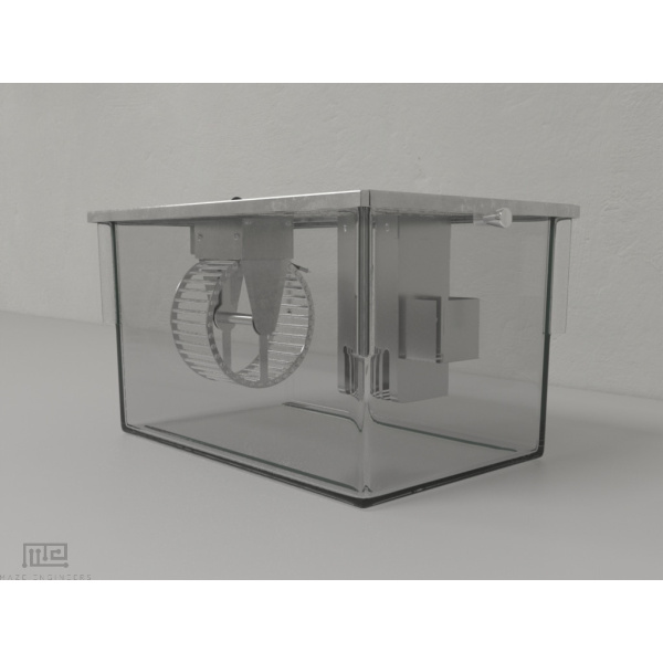 activity_wheel_rat_02_2-1