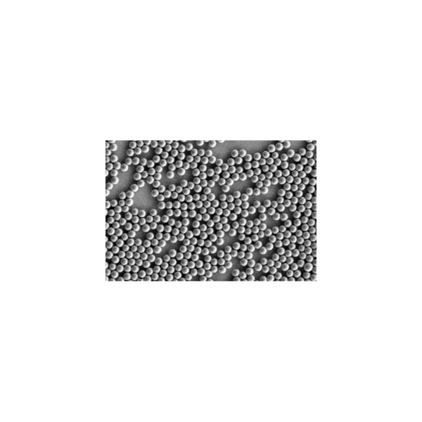 csm_counting_beads_f8711b3df2
