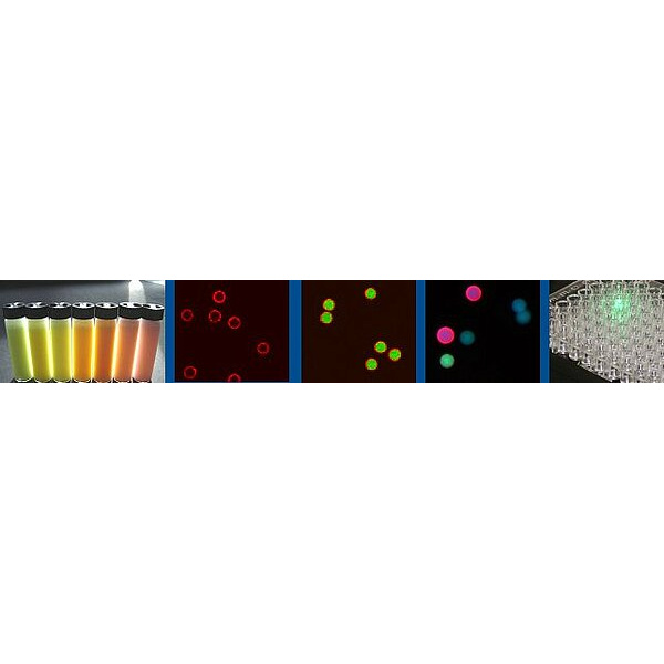 csm_fluorescent_beads_header_79fb692cf4