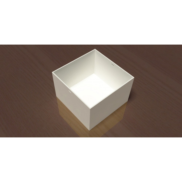 novel_object_recognition_6