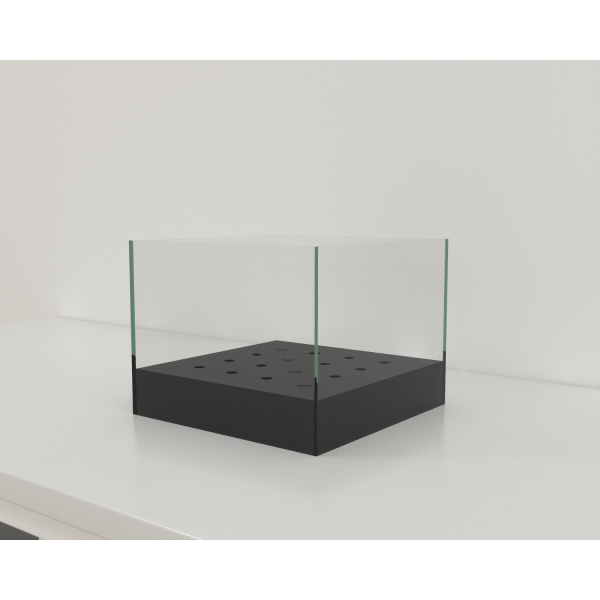 olfactory_hole-board_01_3
