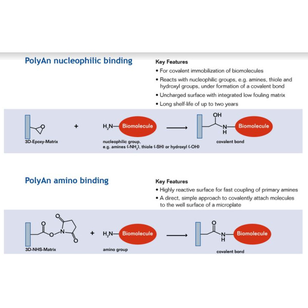 poly2