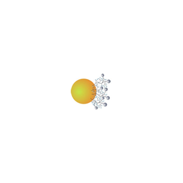 polyan_micro-__nanoparticles
