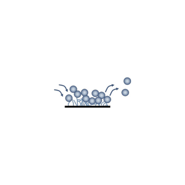 polyan_microplates