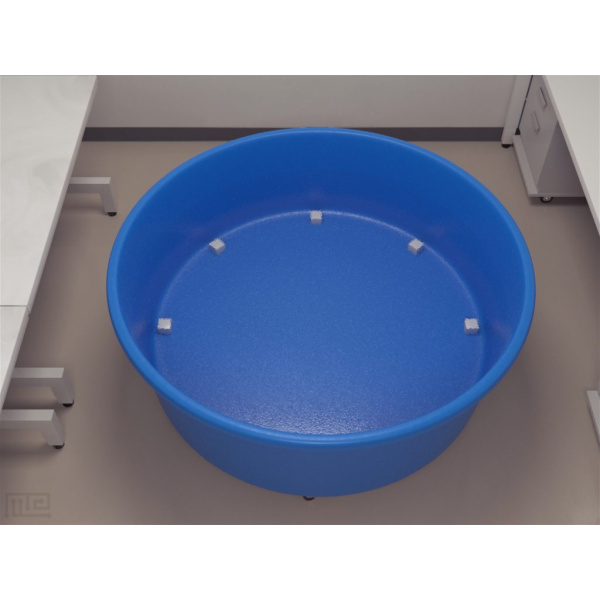 rats_round_arena_02__00002