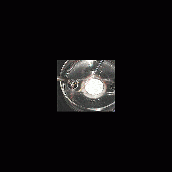tc-rp50-200x179_1657455886