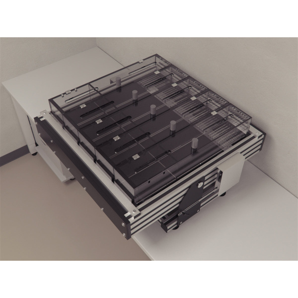 treadmill-01-0002-2