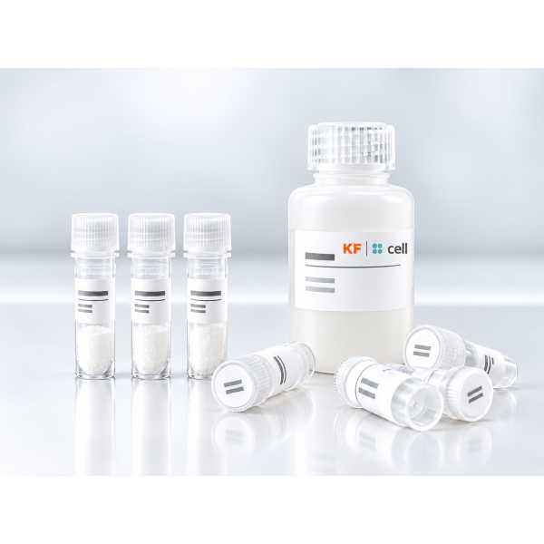 vialetti_da_laboratorio_e_reagente_kf_cell